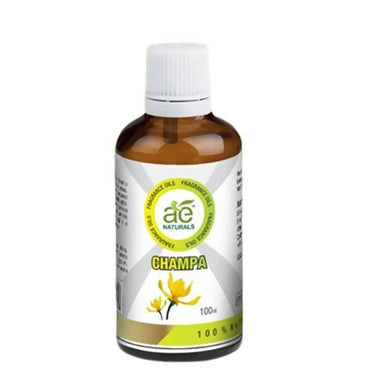 https://cdn.shopify.com/s/files/1/1857/6931/files/3dDyBm3FKw-466087.jpg?v=1736143743